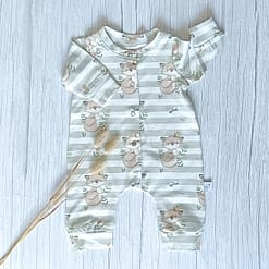 Boxpakje Vos & Vogel